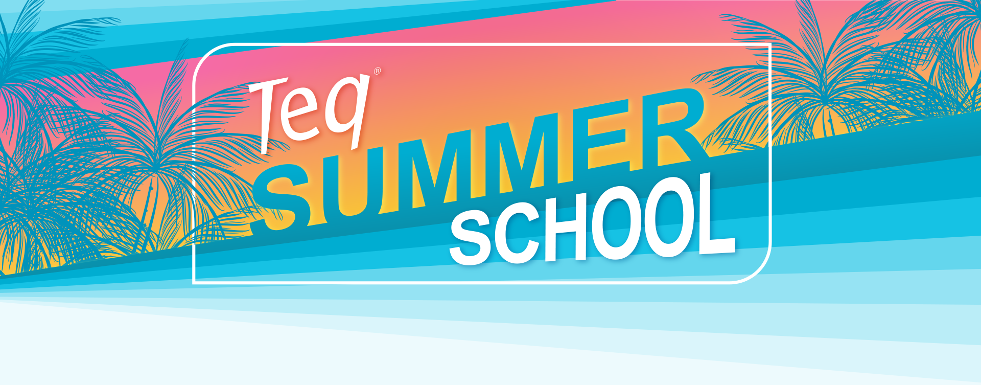 Teq Summer School
