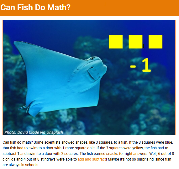 An example of a Bedtime Math story.